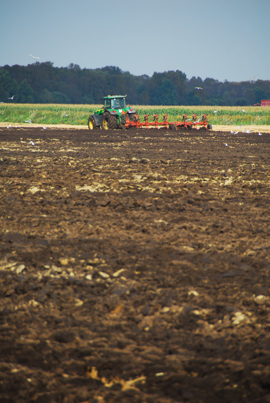 Plowing