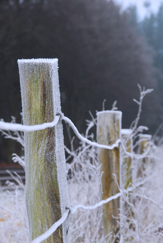 Fence