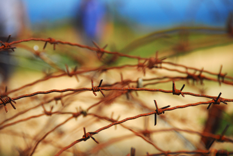 Barbed Wire